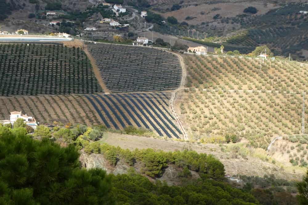 Carratraca como llegar