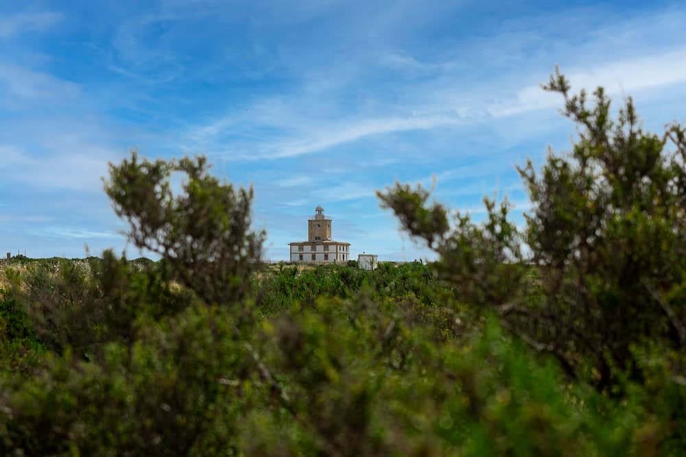 Comer en Tabarca