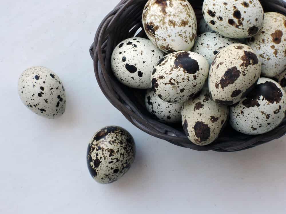Como abrir huevos de codorniz