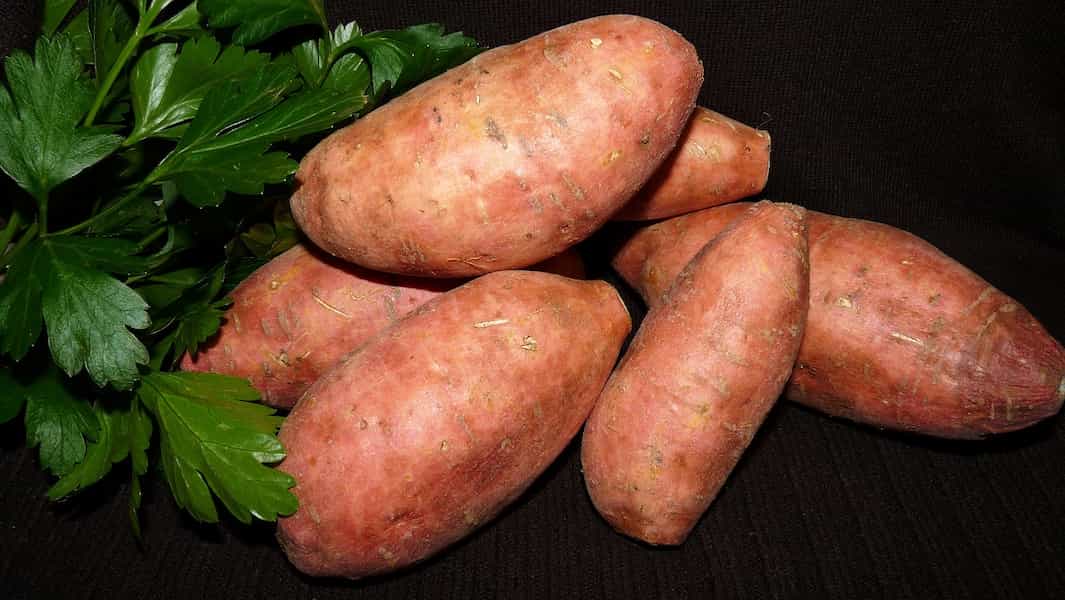 Como cocer boniato