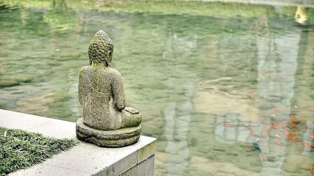 Como decorar alrededor de un buda