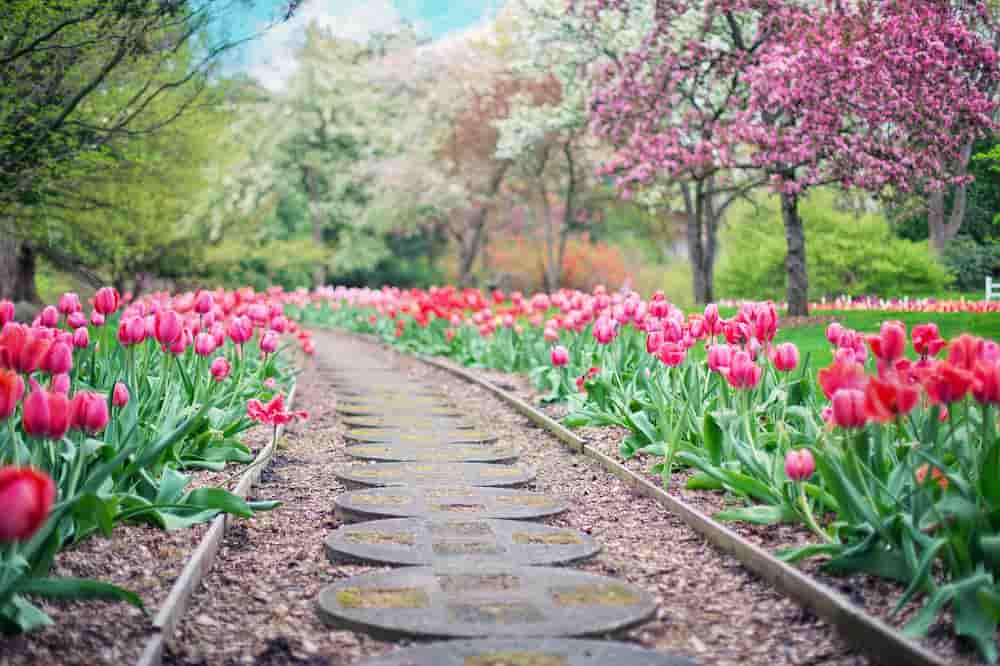 Como hacer un jardin bonito y barato