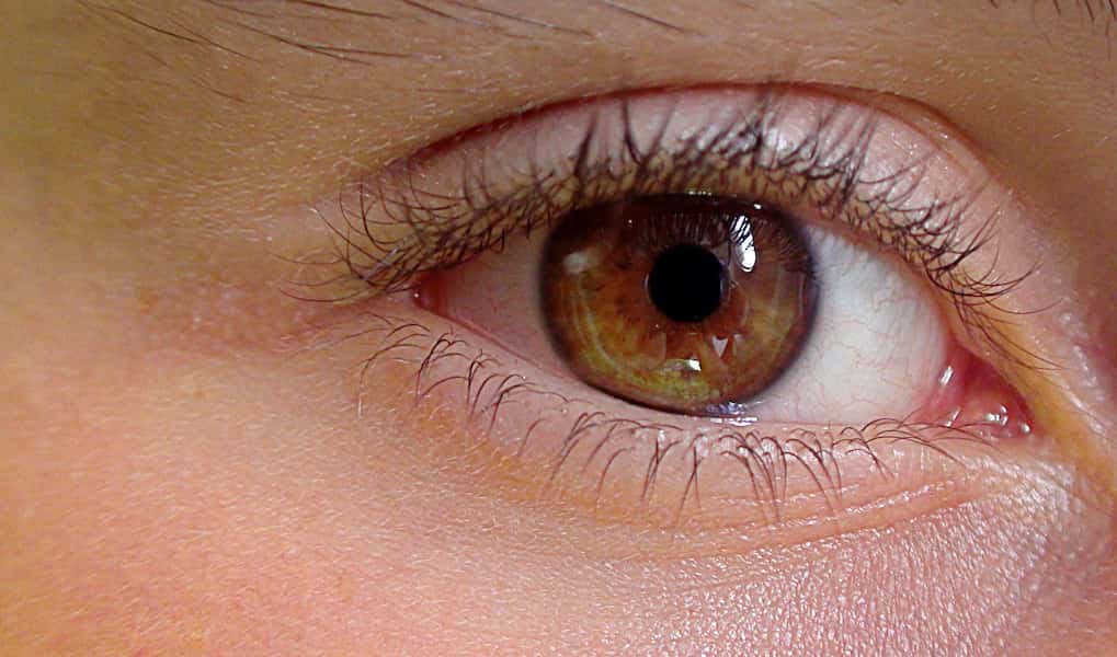 Como ponerse lentillas