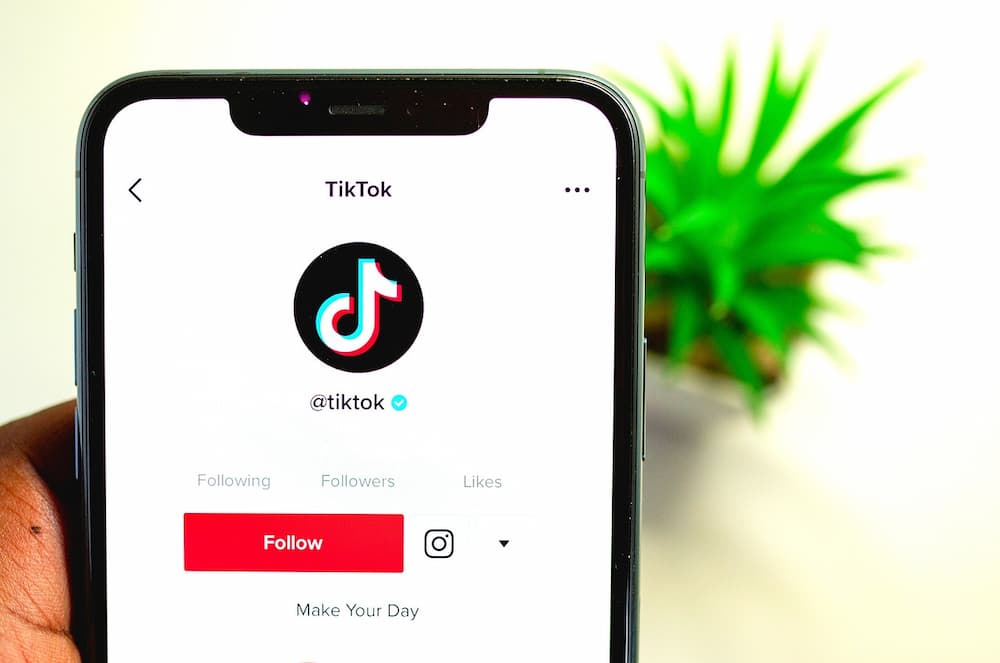 Como quitar marca de agua TikTok