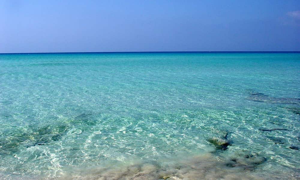 Donde comer en Formentera