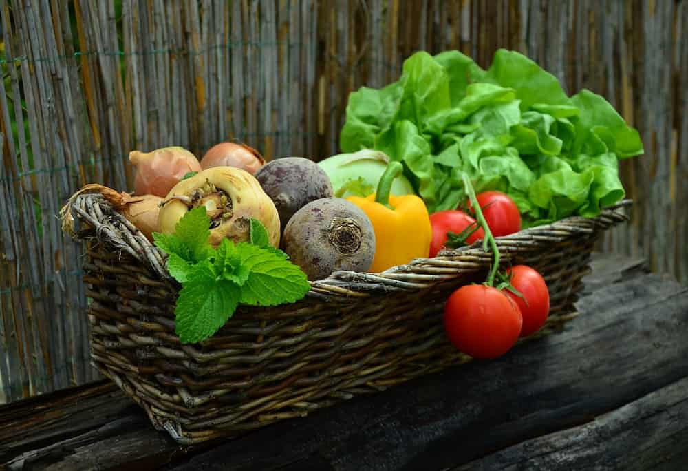 Recetas comidas blandas para no masticar