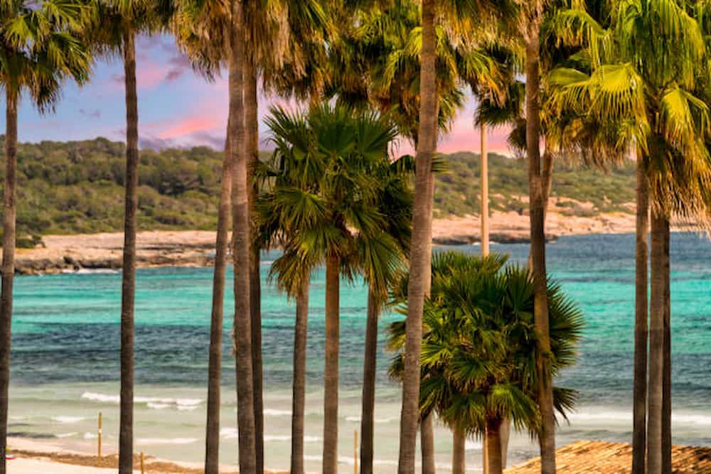 Sa Coma Mallorca