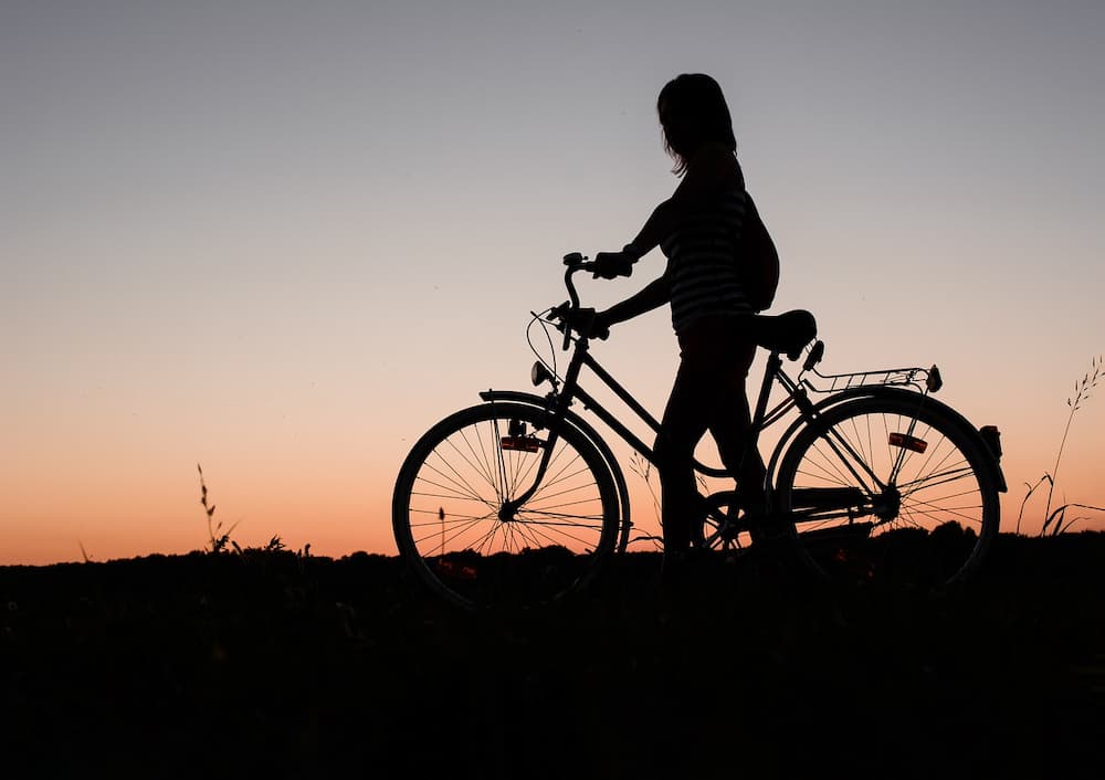Bicicletas niñas 20 pulgadas