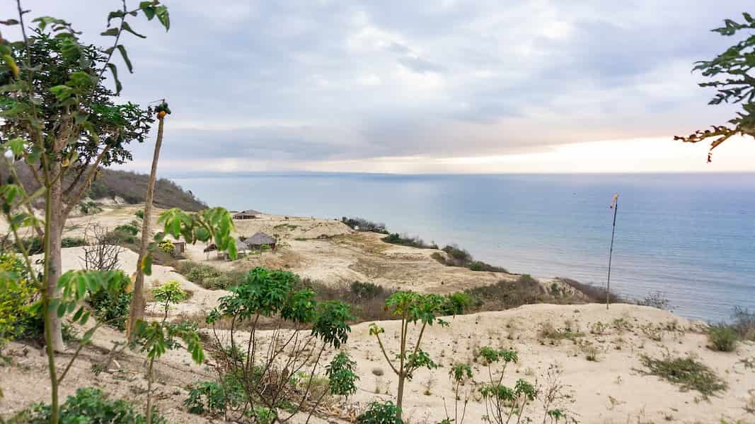 Comida tipica de Manabi