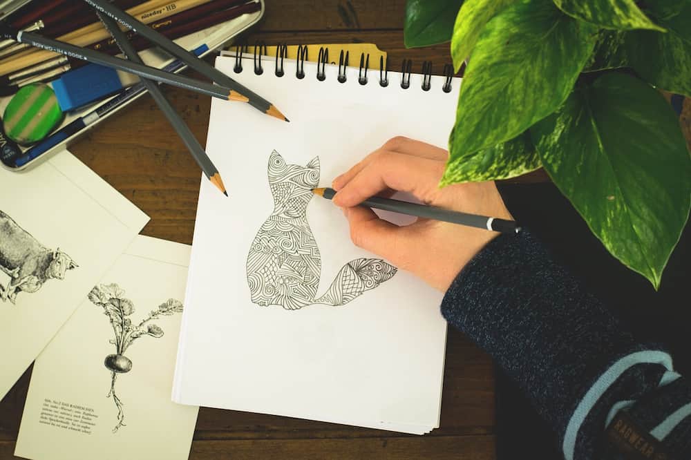 Ilustradores españoles que debes conocer
